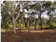6 Silkwood Walk, Callala Beach NSW 2540