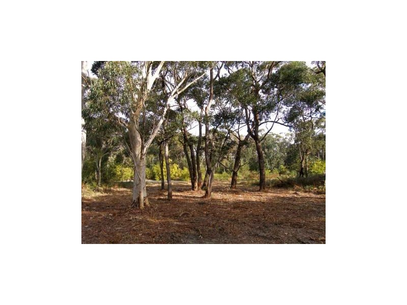 6 Silkwood Walk, Callala Beach NSW 2540