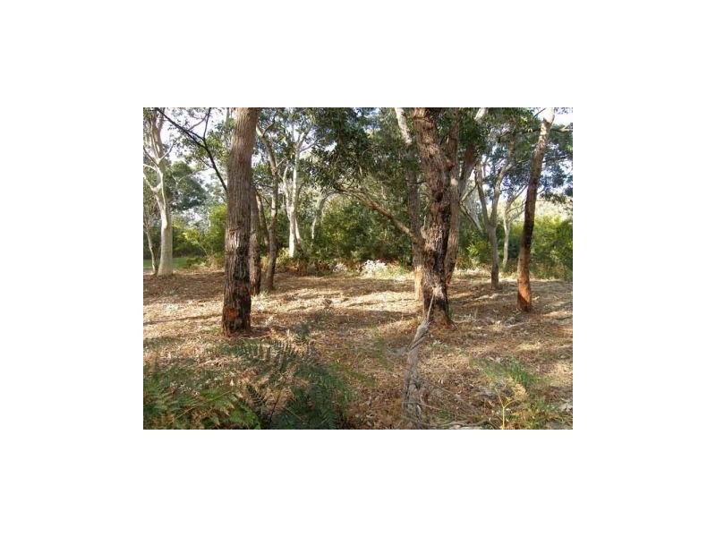 6 Silkwood Walk, Callala Beach NSW 2540