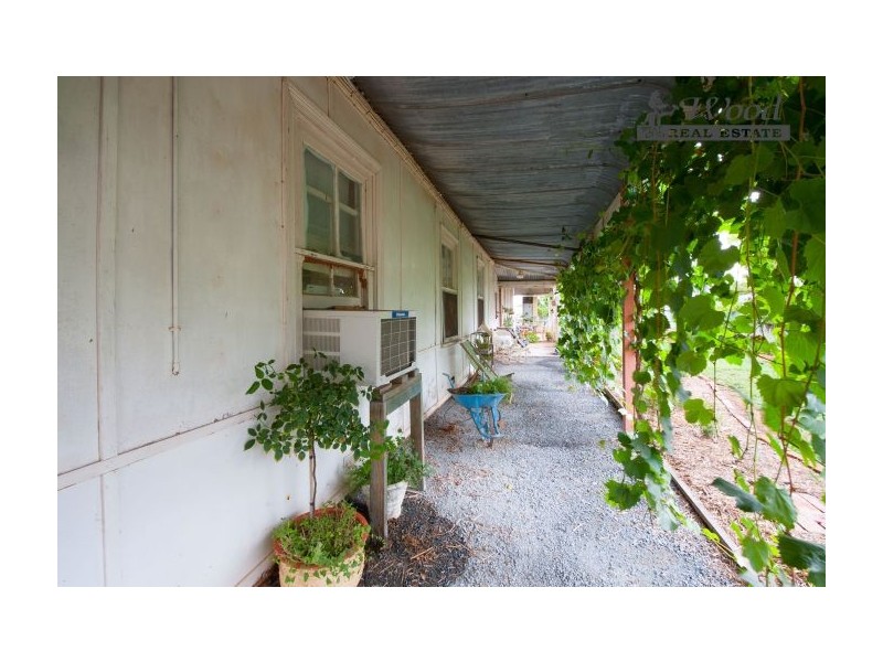 64 Ivor Street, Henty NSW 2658