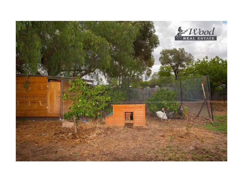 64 Ivor Street, Henty NSW 2658