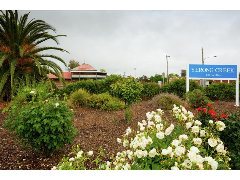 17 Queen Street, Yerong Creek NSW 2642