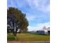 25 Townview Avenue, Walla Walla NSW 2659