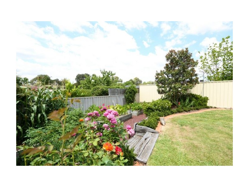 11 Dimbanna Court, Lavington NSW 2641