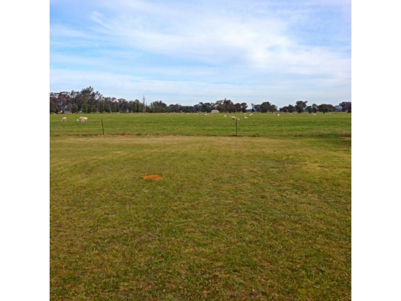 25 Townview Avenue, Walla Walla NSW 2659