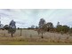 Lot 12 Melville Street, Culcairn NSW 2660