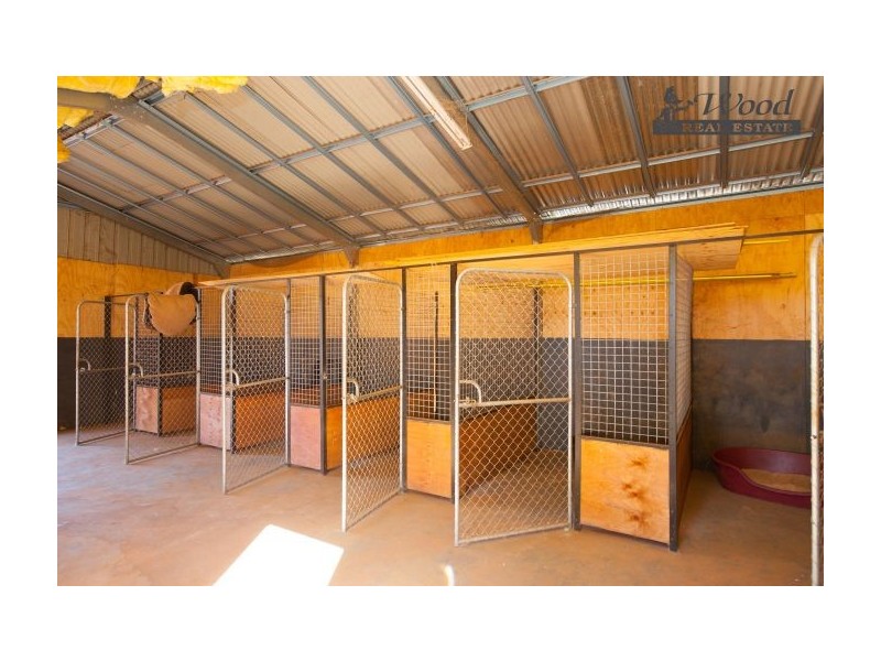 60 Cullen St, Pleasant Hills NSW 2658