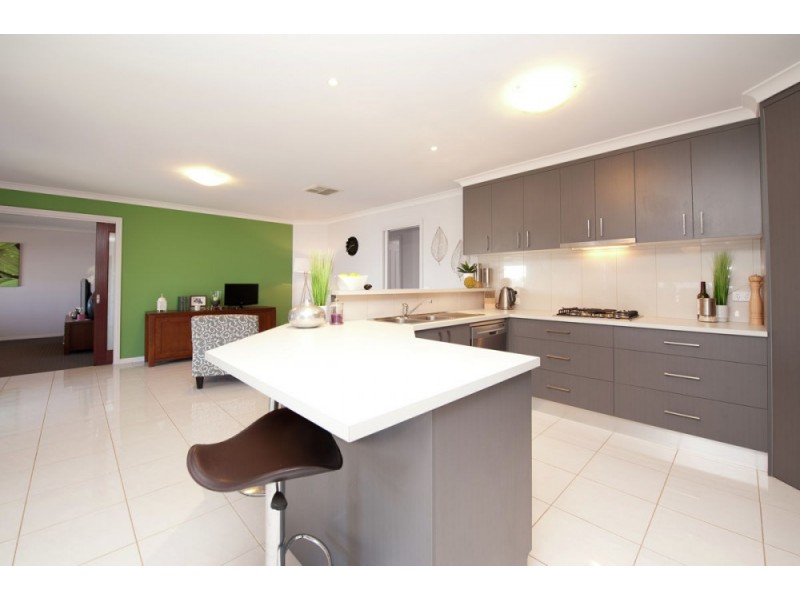 16 Bullfrog Court, Thurgoona NSW 2640