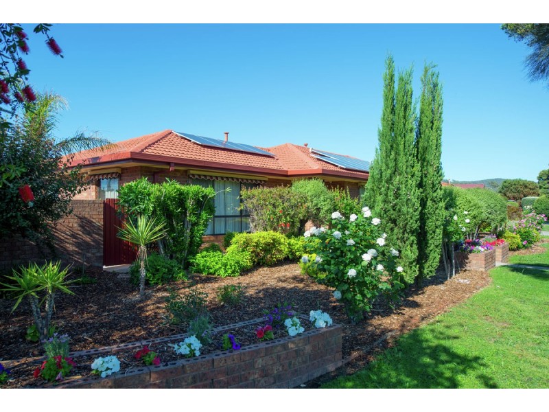 377 Poplar Drive, Lavington NSW 2641