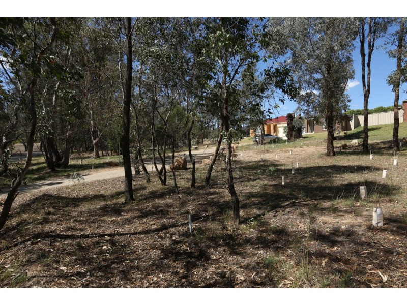 42 O’Shea Street, Lavington NSW 2641