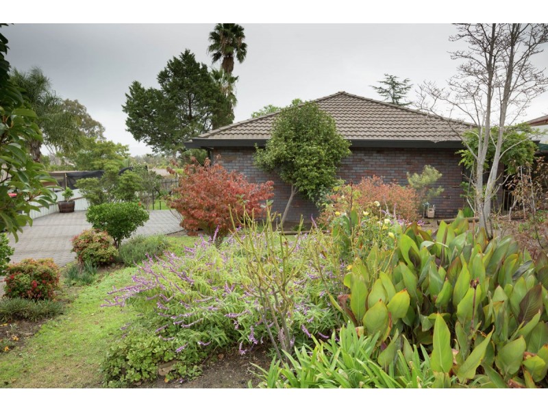 1 Bandalong Road, Springdale Heights NSW 2641