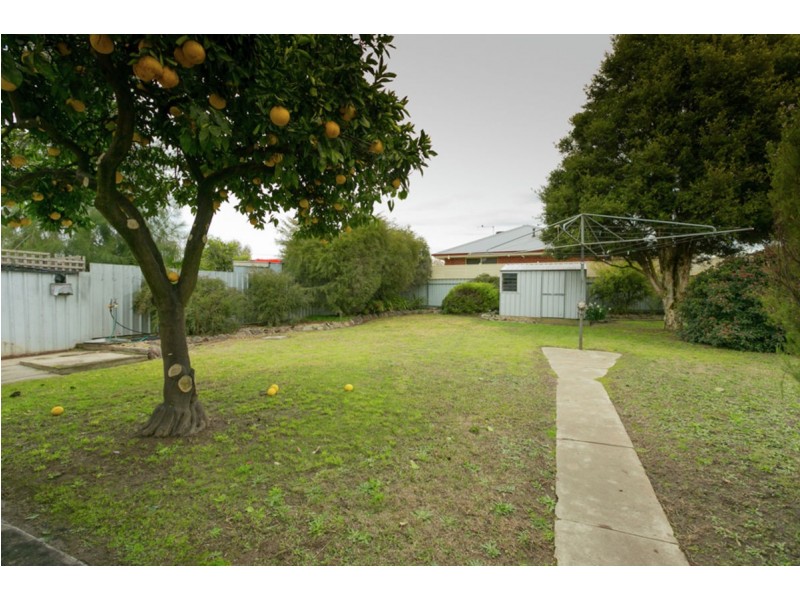 431 Bownds Street, Lavington NSW 2641