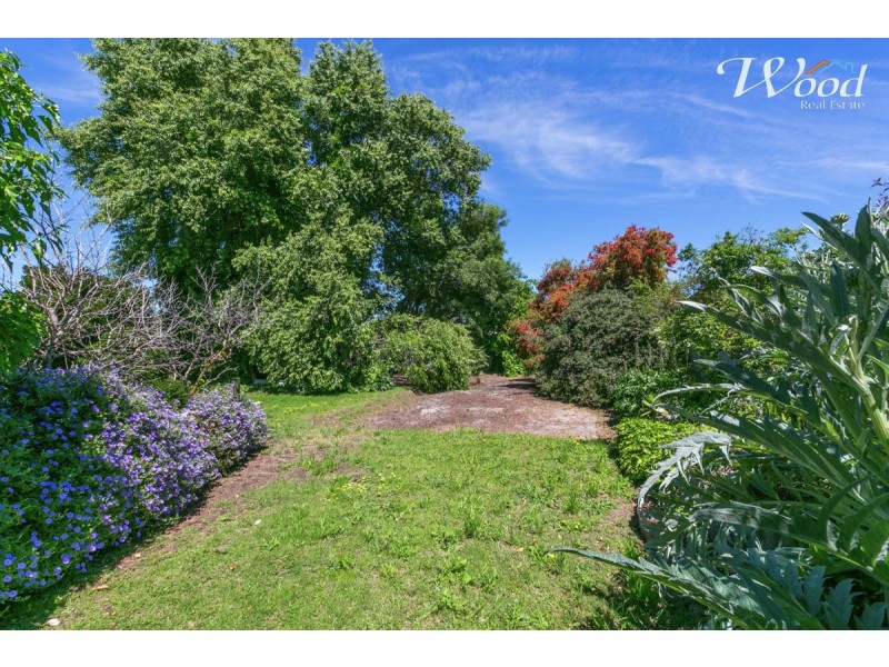 523 McKenzie Street, Lavington NSW 2641