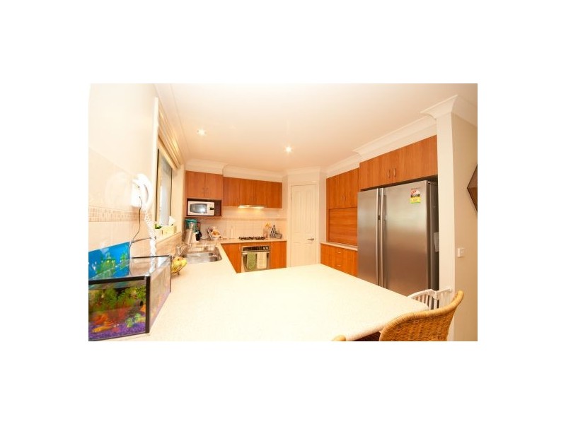 10 Wills Crt, Thurgoona NSW 2640