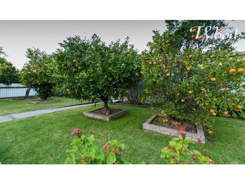 453 Kemp Street, Lavington NSW 2641