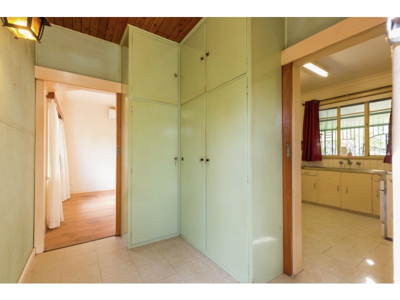 523 Webb Street, Lavington NSW 2641