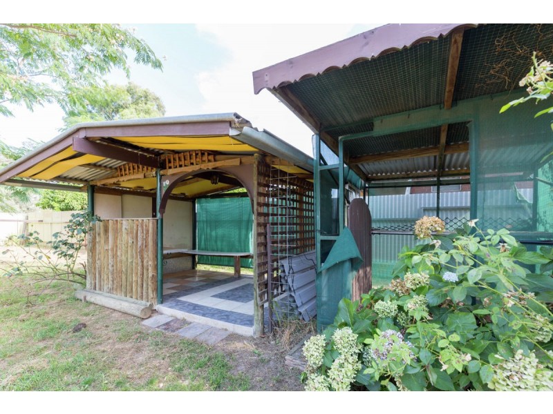 523 Webb Street, Lavington NSW 2641