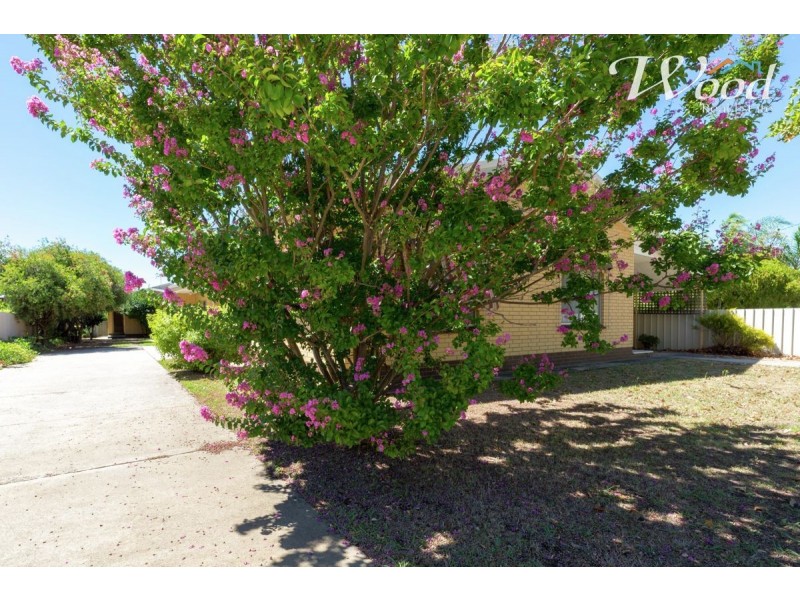 4/394 Urana Road, Lavington NSW 2641