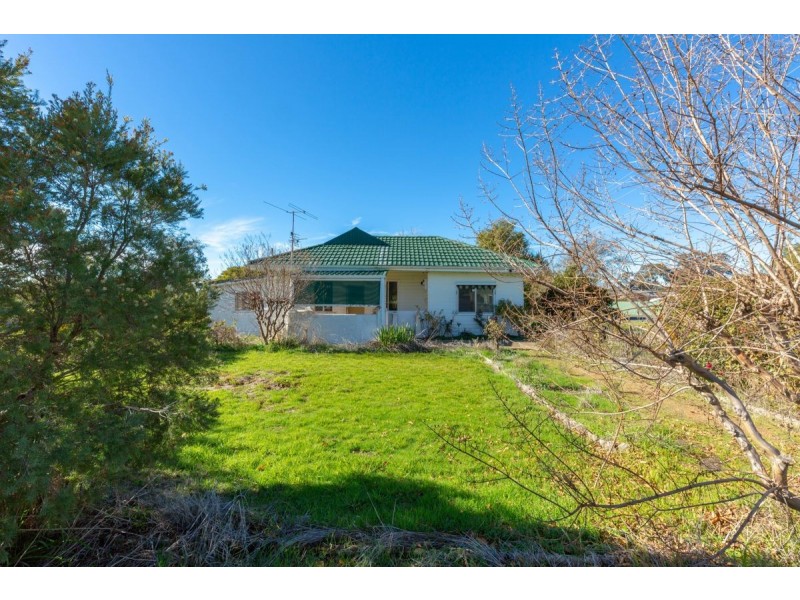66 Munro Street, Culcairn NSW 2660