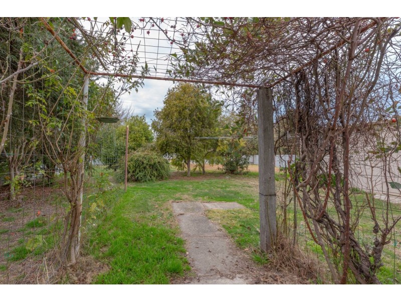 628 Storey Street, Lavington NSW 2641