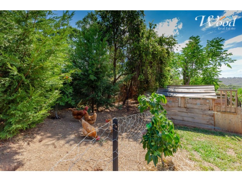 1449 Burrows Road, Hamilton Valley NSW 2641