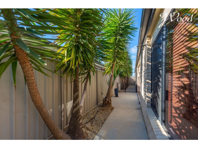 31 Chafia Place, Lavington NSW 2641