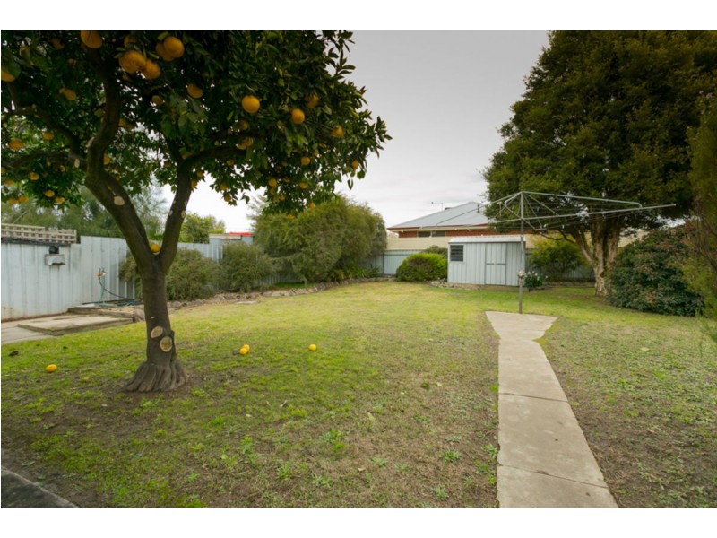 431 Bownds St, Lavington NSW 2641