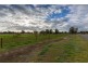 66 Munro Street, Culcairn NSW 2660