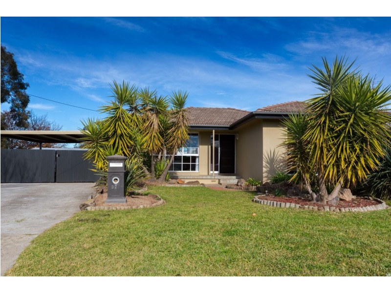 325 Haines Court, Lavington NSW 2641