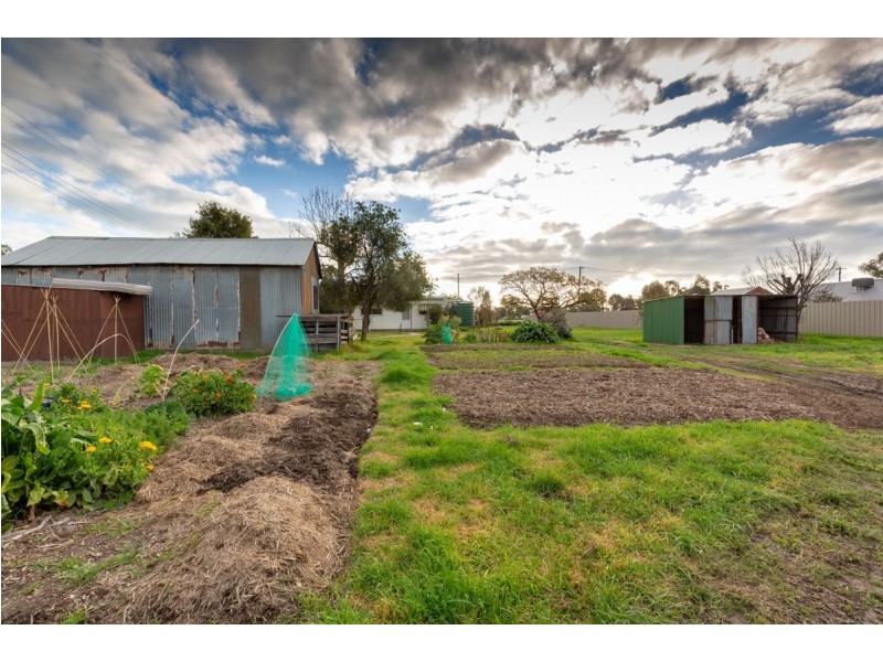 66 Munro Street, Culcairn NSW 2660
