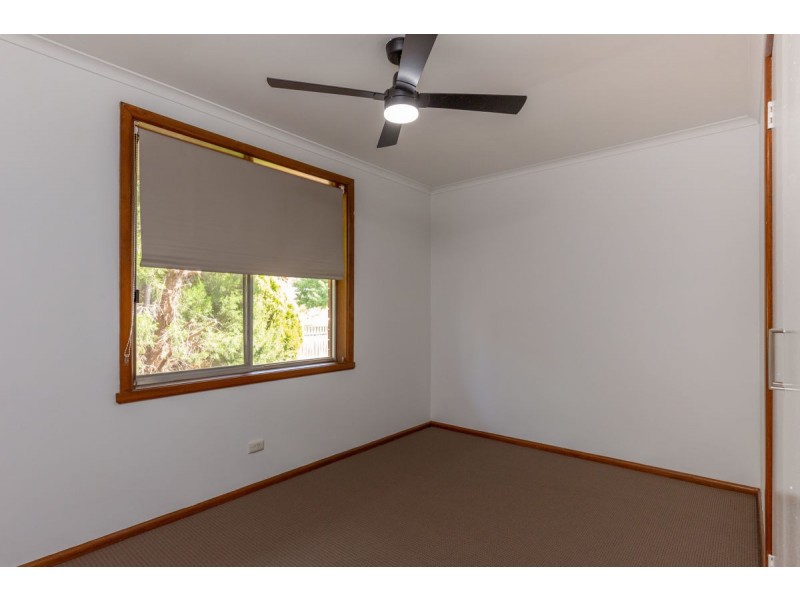 3/525 Kaitlers Road, Lavington NSW 2641