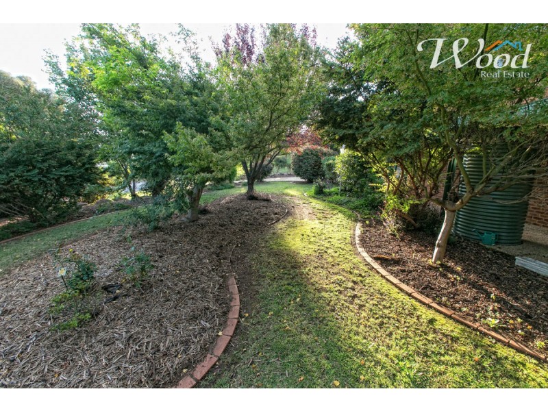 40 Franklin Court (Norris Park), Lavington NSW 2641