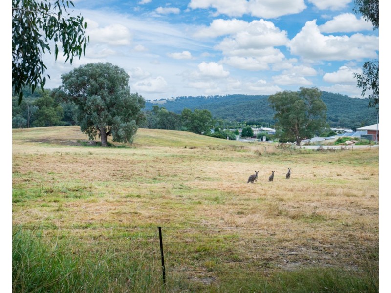 827 Centaur Rd, Hamilton Valley NSW 2641
