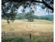 827 Centaur Rd, Hamilton Valley NSW 2641