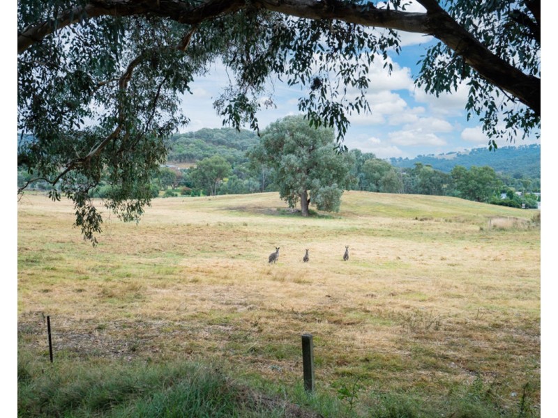 827 Centaur Rd, Hamilton Valley NSW 2641