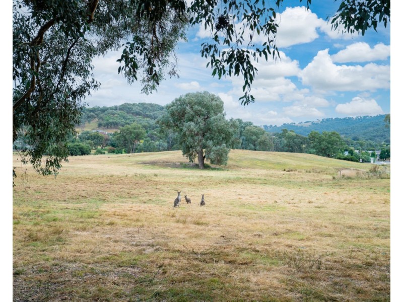 827 Centaur Rd, Hamilton Valley NSW 2641