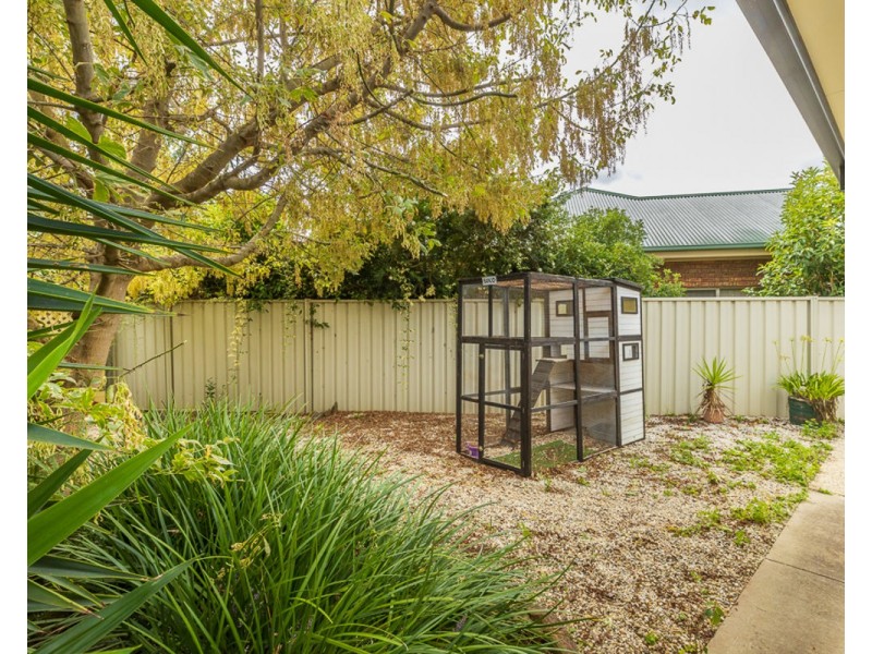 25 Bowyer Pl (Norris Park), Lavington NSW 2641