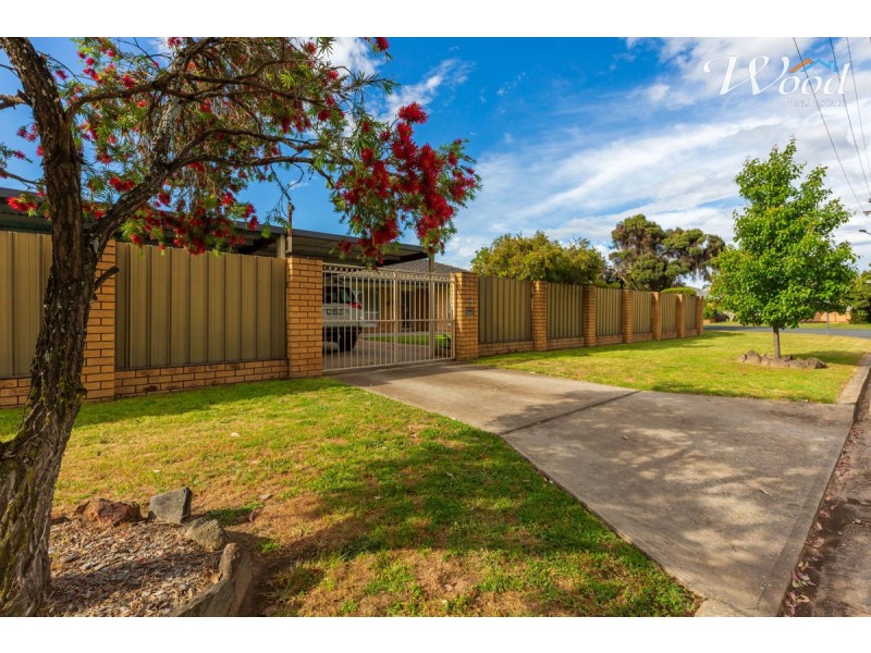558 Schneider St, Lavington NSW 2641