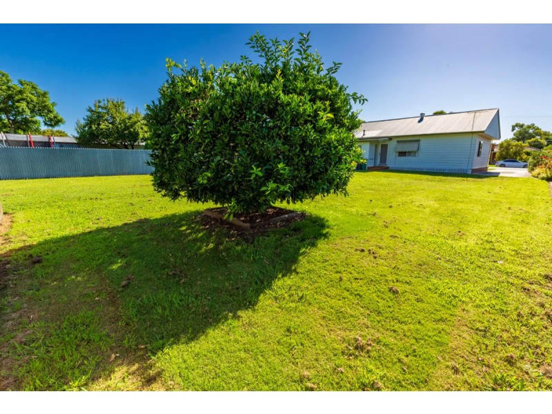 453 Alldis Ave, Lavington NSW 2641