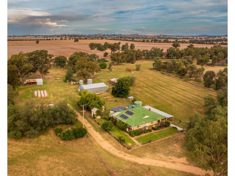 3946 Olympic Hwy “BROOKFIELD”, Henty NSW 2658