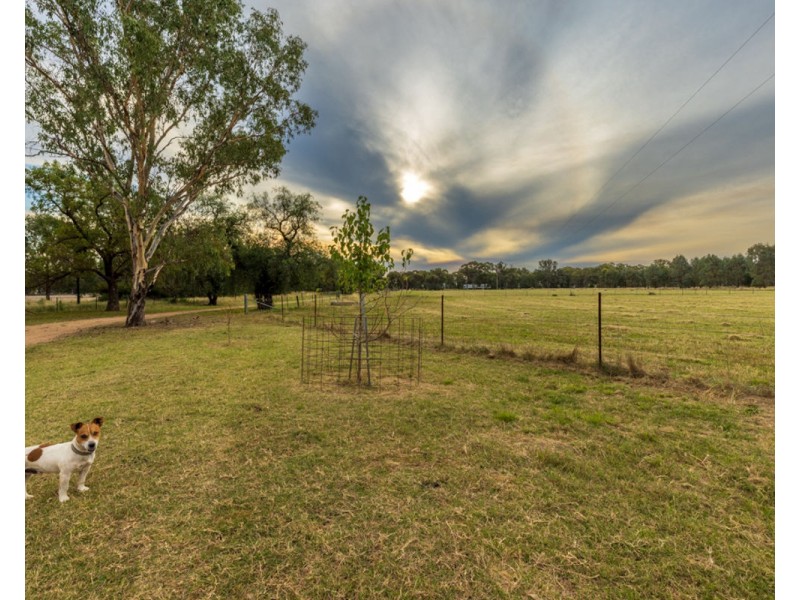 3946 Olympic Hwy “BROOKFIELD”, Henty NSW 2658