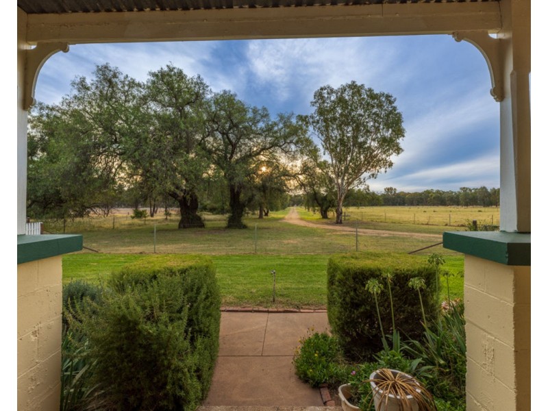 3946 Olympic Hwy “BROOKFIELD”, Henty NSW 2658