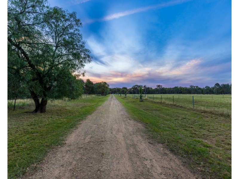 3946 Olympic Hwy “BROOKFIELD”, Henty NSW 2658