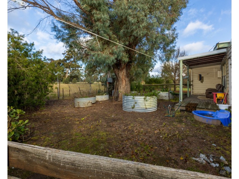 2311 Henty-Pleasant Hills Rd, Henty NSW 2658