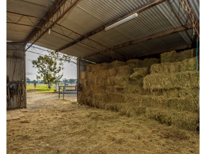 2311 Henty-Pleasant Hills Rd, Henty NSW 2658