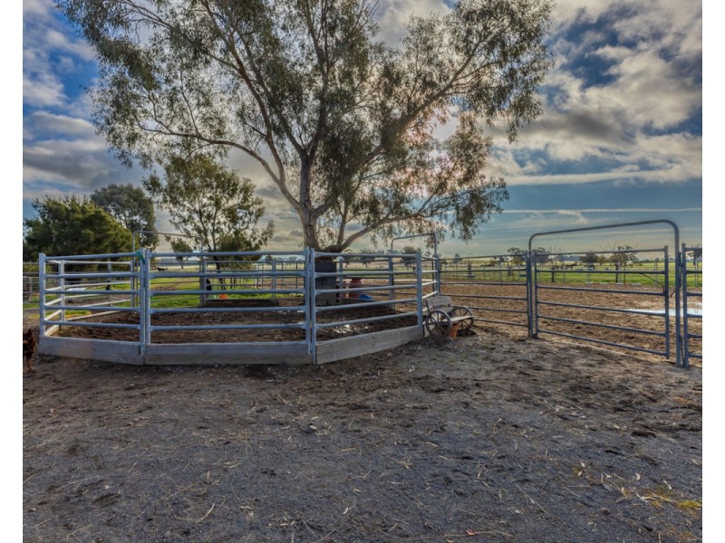 2311 Henty-Pleasant Hills Rd, Henty NSW 2658