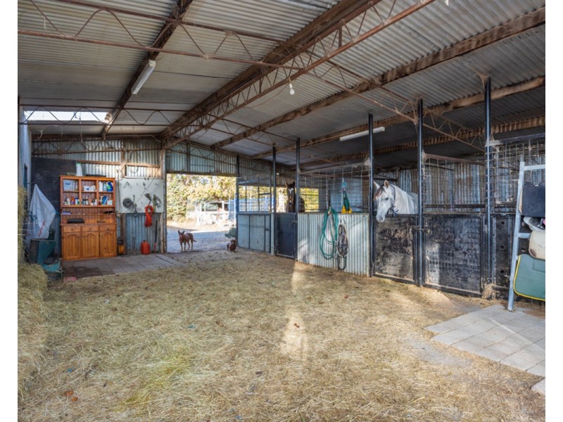 2311 Henty-Pleasant Hills Rd, Henty NSW 2658