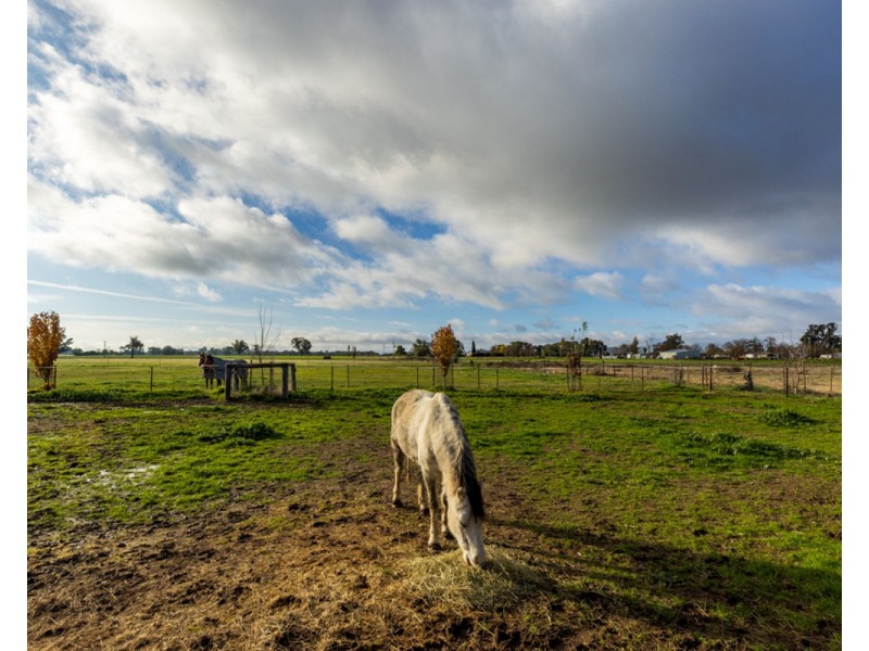 2311 Henty-Pleasant Hills Rd, Henty NSW 2658