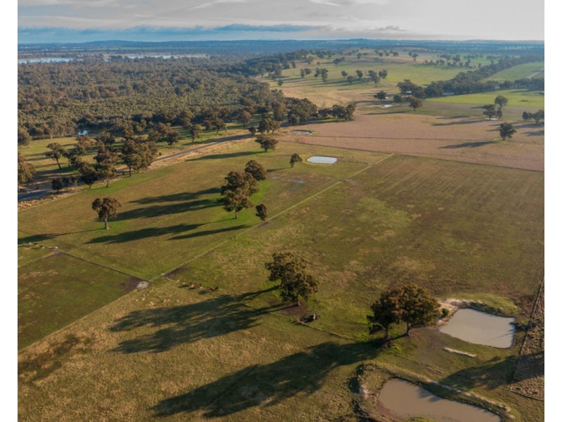 2311 Henty-Pleasant Hills Rd, Henty NSW 2658