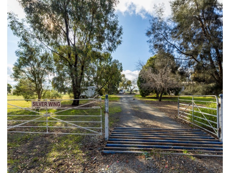 2311 Henty-Pleasant Hills Rd, Henty NSW 2658